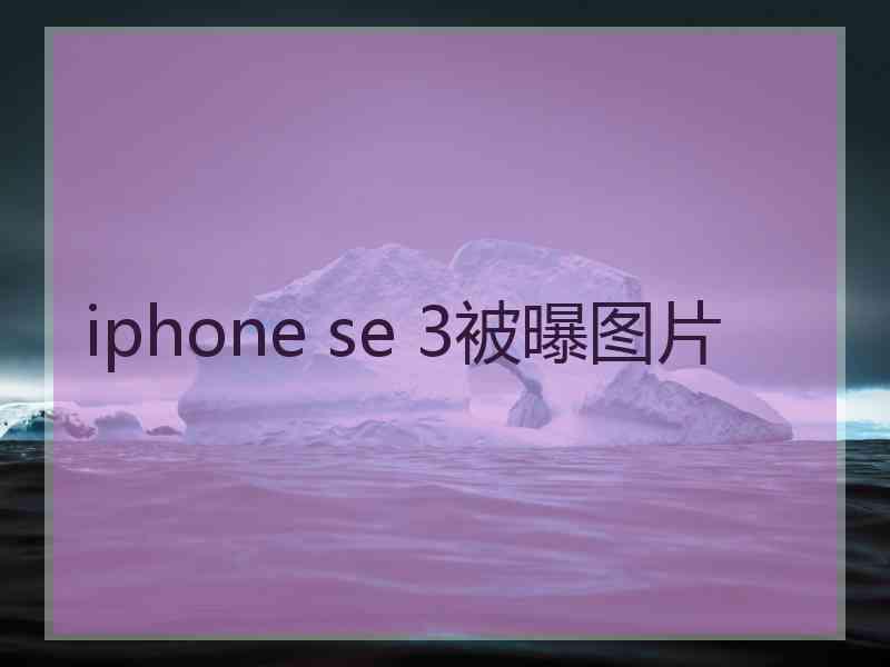 iphone se 3被曝图片