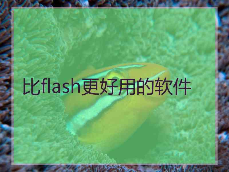 比flash更好用的软件