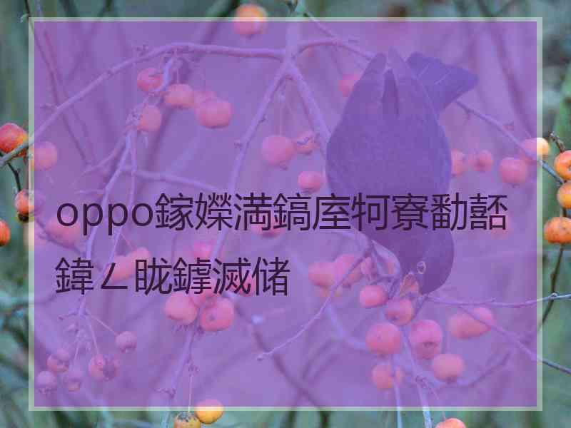 oppo鎵嬫満鎬庢牱寮勫嚭鍏ㄥ眬鎼滅储