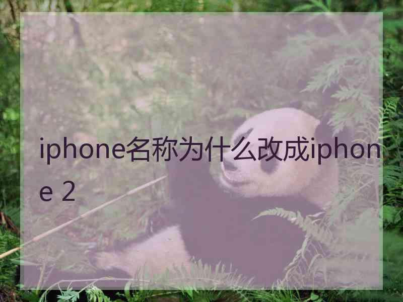 iphone名称为什么改成iphone 2