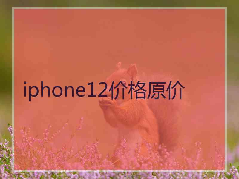 iphone12价格原价