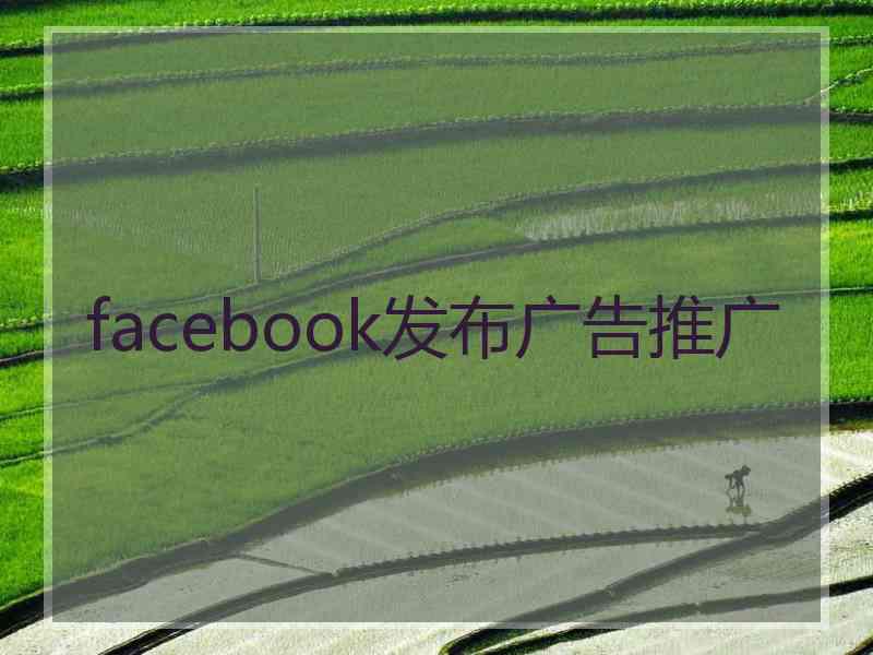 facebook发布广告推广