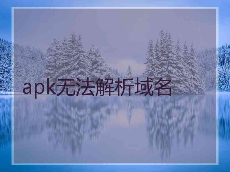 apk无法解析域名