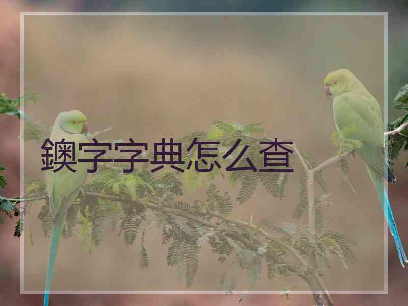 鐭字字典怎么查