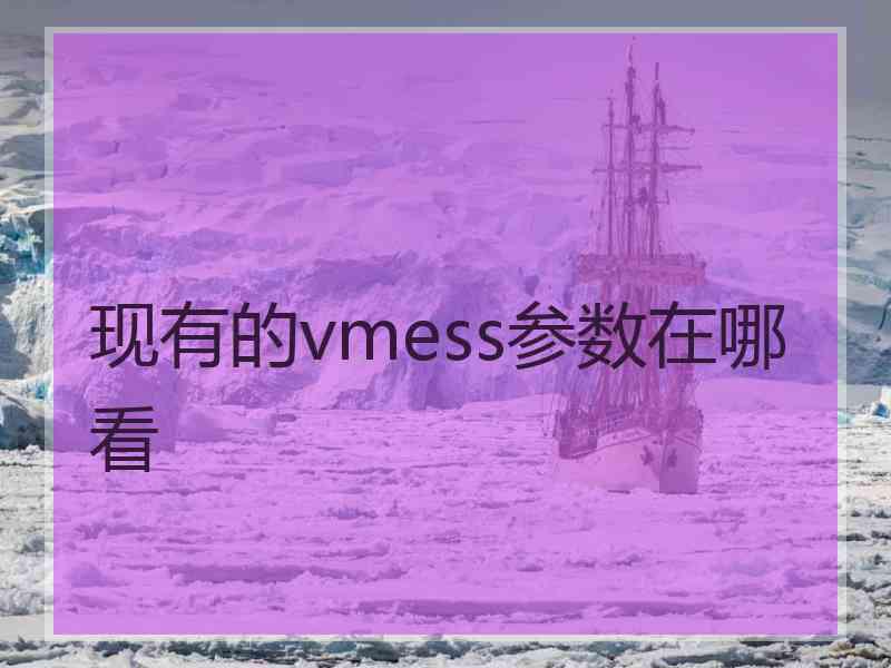 现有的vmess参数在哪看