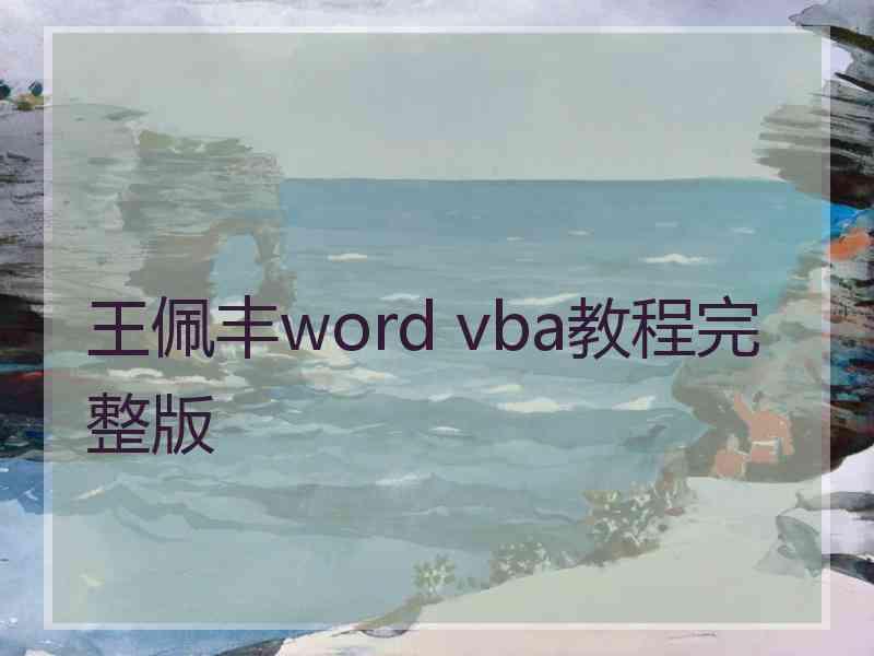 王佩丰word vba教程完整版