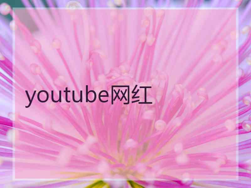 youtube网红