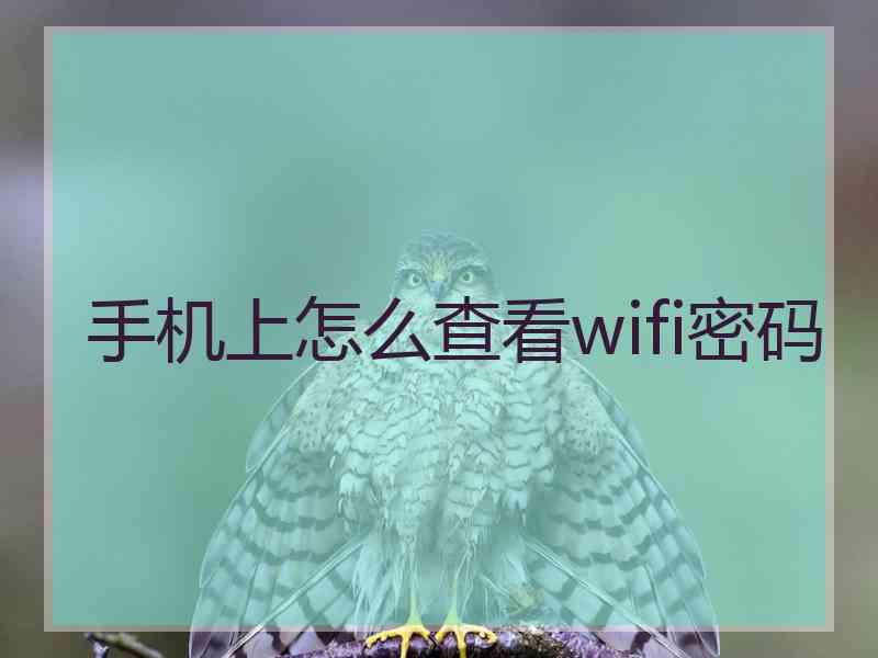 手机上怎么查看wifi密码