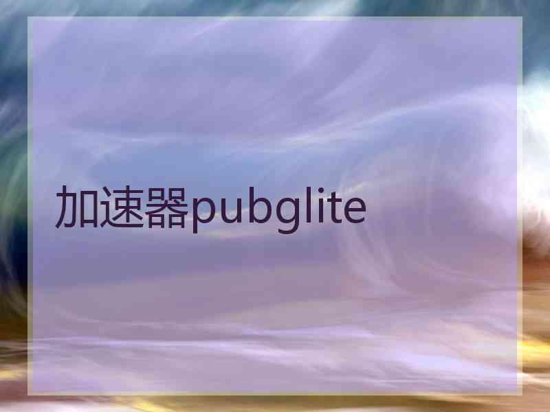 加速器pubglite