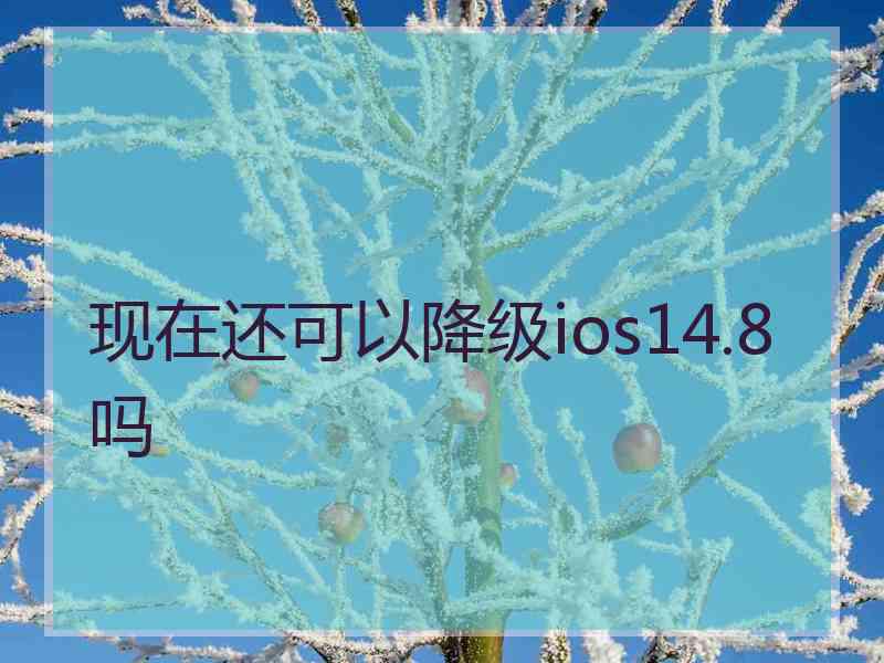 现在还可以降级ios14.8吗