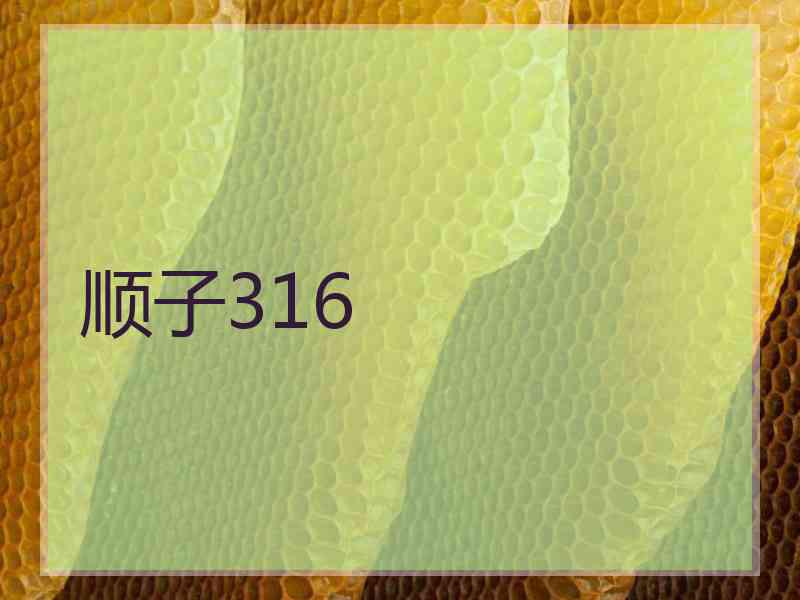 顺子316