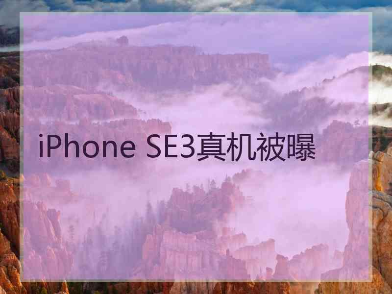 iPhone SE3真机被曝