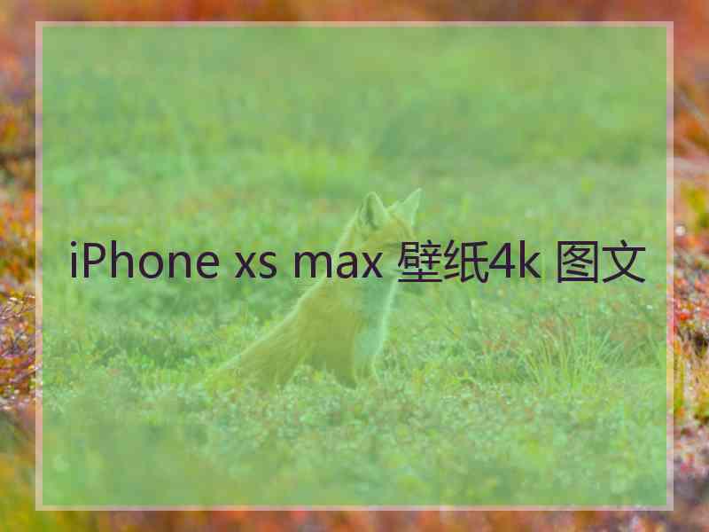 iPhone xs max 壁纸4k 图文