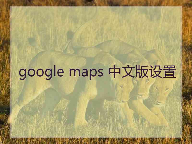 google maps 中文版设置