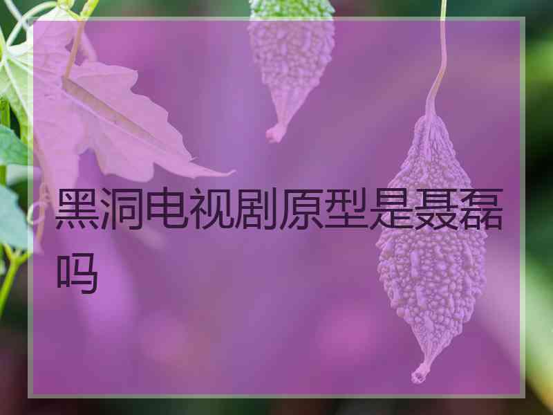 黑洞电视剧原型是聂磊吗