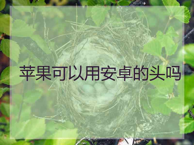 苹果可以用安卓的头吗