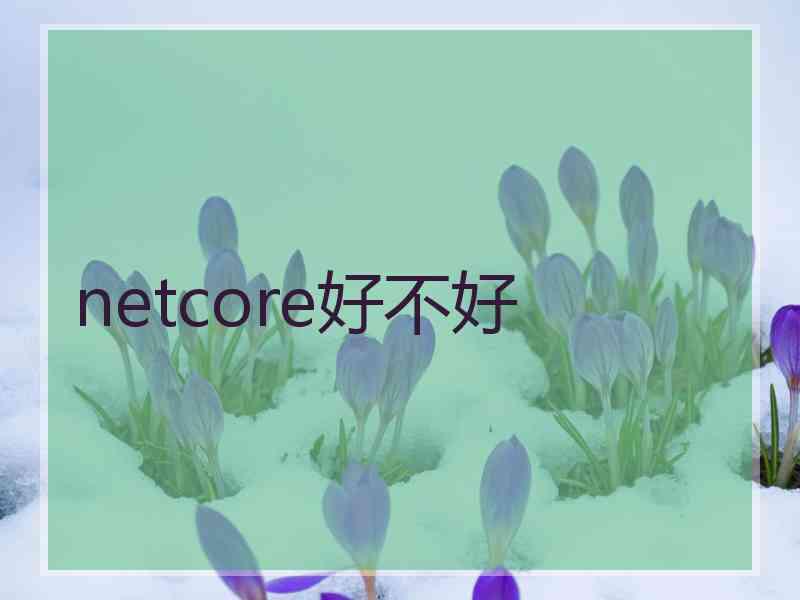 netcore好不好