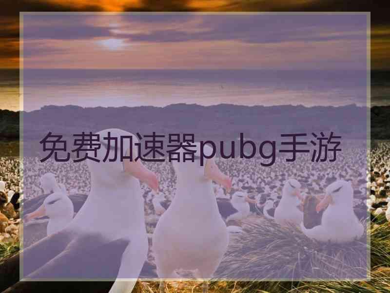 免费加速器pubg手游