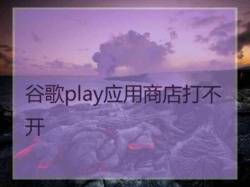 谷歌play应用商店打不开