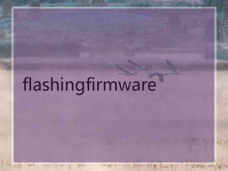 flashingfirmware