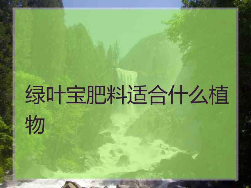 绿叶宝肥料适合什么植物