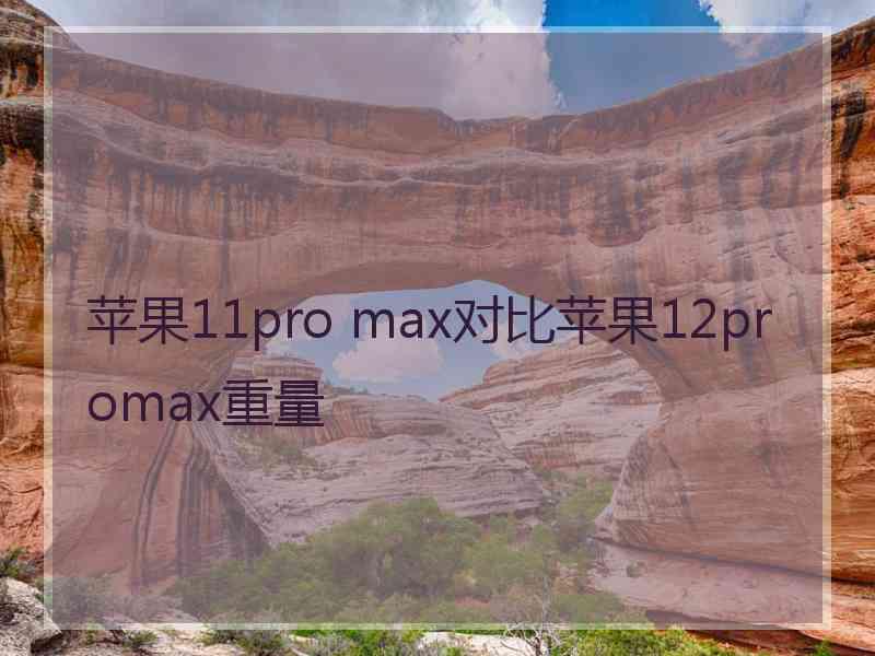 苹果11pro max对比苹果12promax重量