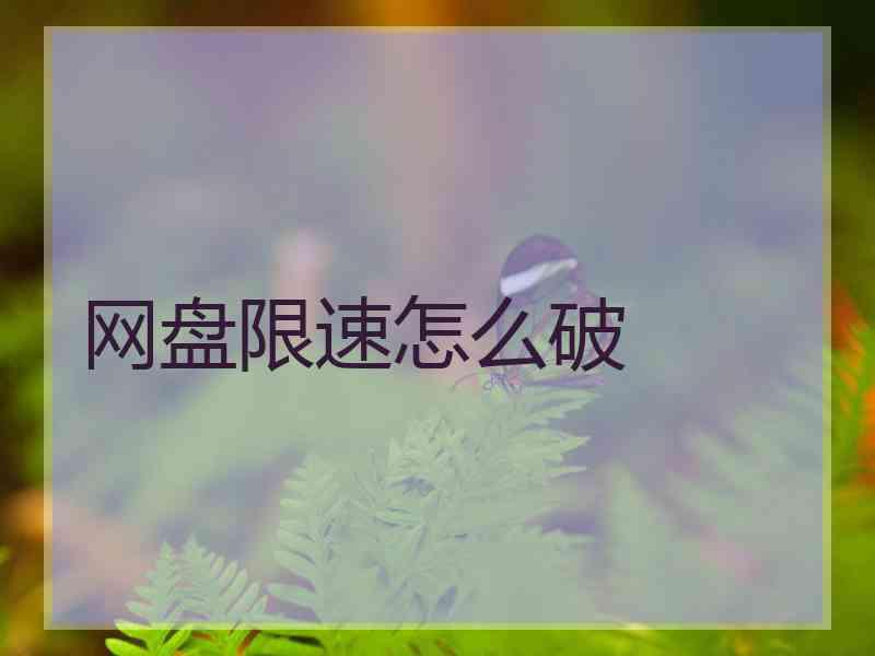 网盘限速怎么破