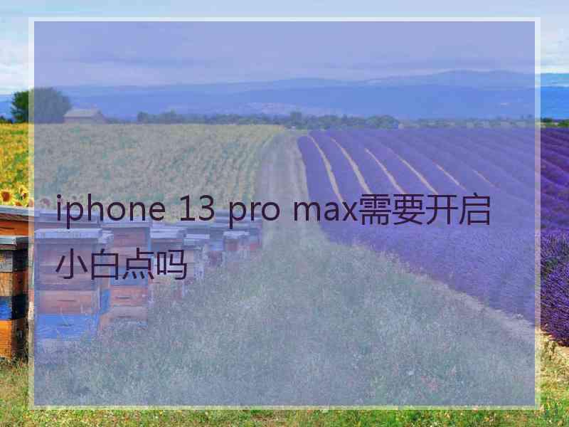 iphone 13 pro max需要开启小白点吗