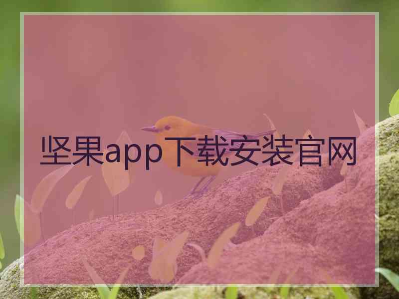 坚果app下载安装官网