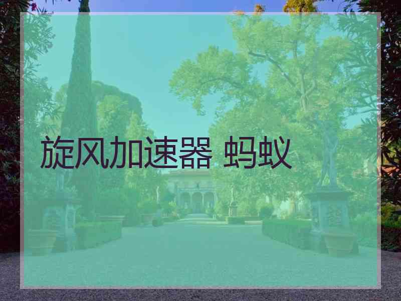 旋风加速器 蚂蚁