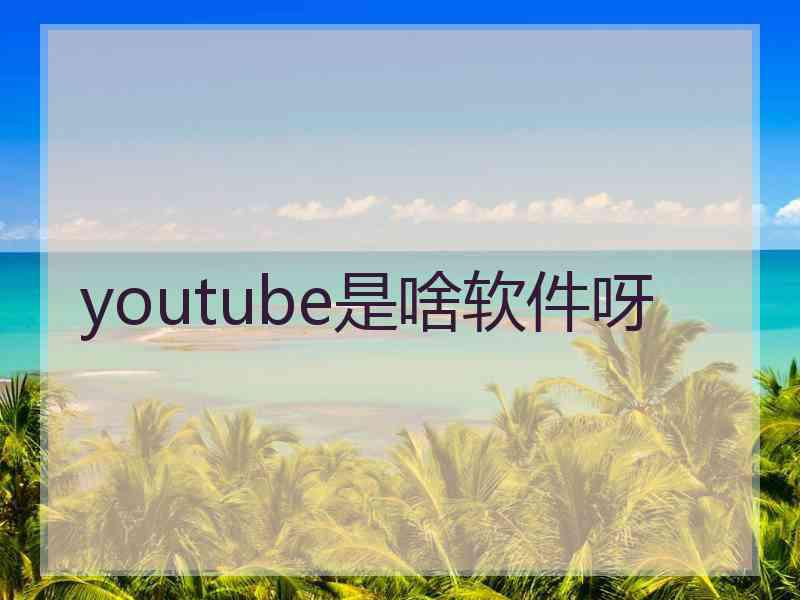 youtube是啥软件呀