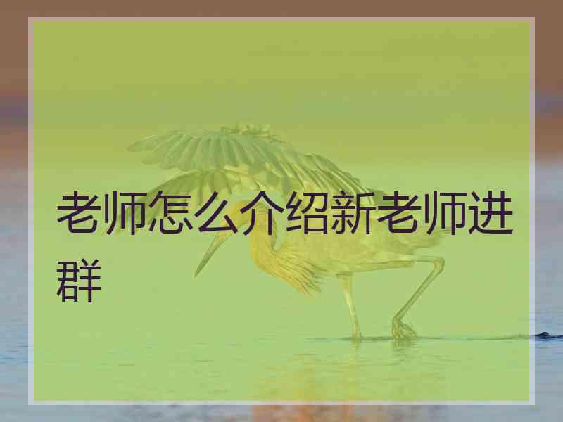 老师怎么介绍新老师进群