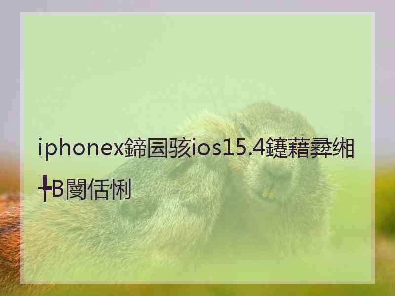 iphonex鍗囩骇ios15.4鑳藉彛缃╄В閿佸悧