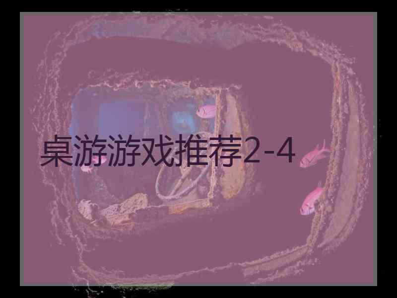 桌游游戏推荐2-4