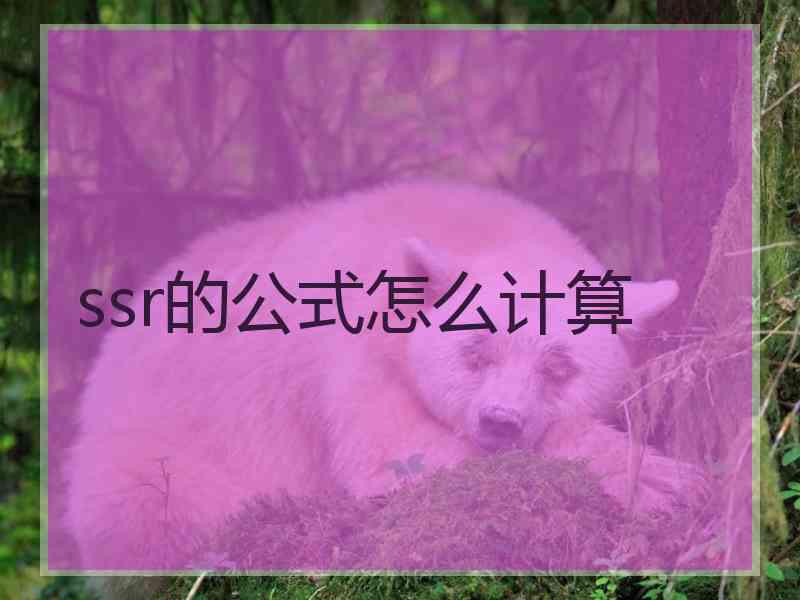 ssr的公式怎么计算