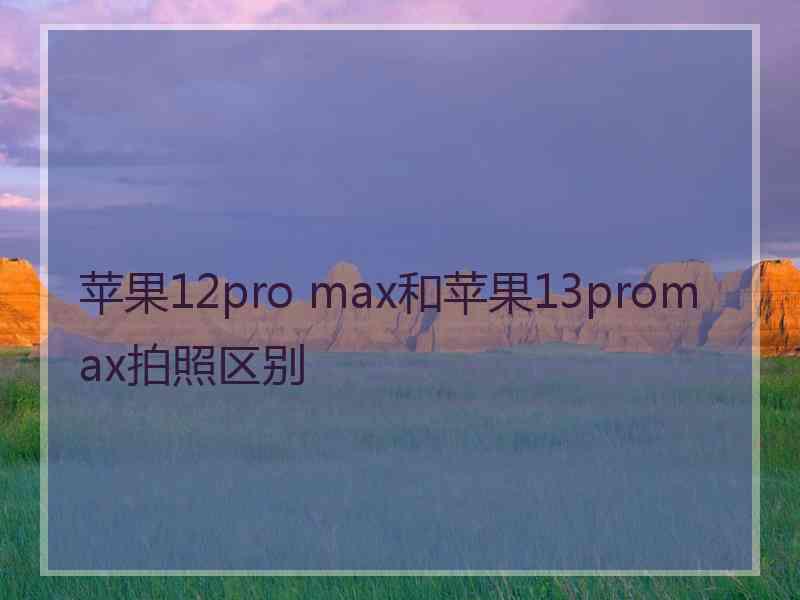 苹果12pro max和苹果13promax拍照区别