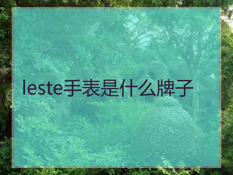 leste手表是什么牌子