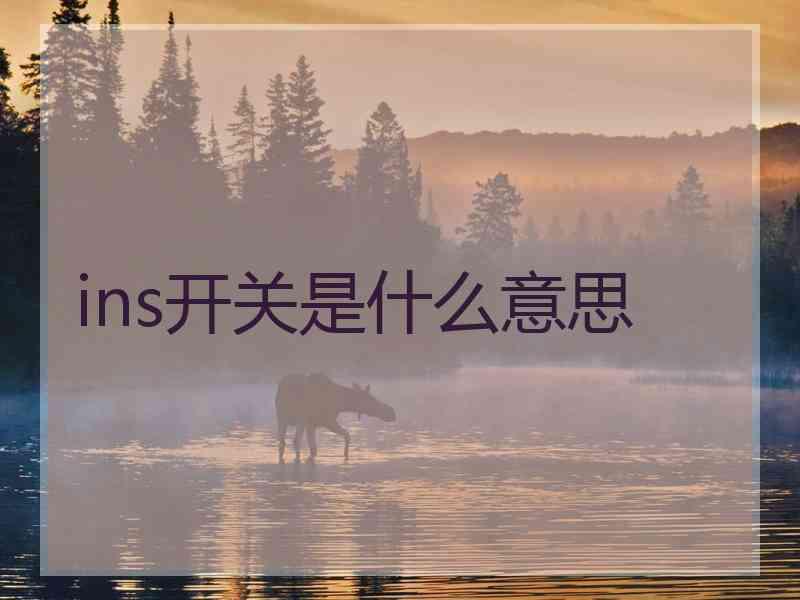 ins开关是什么意思