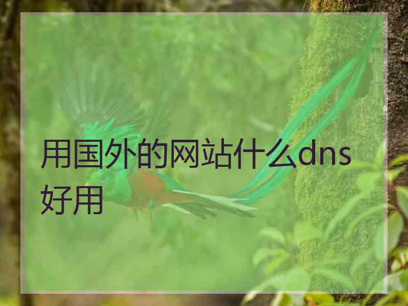 用国外的网站什么dns好用