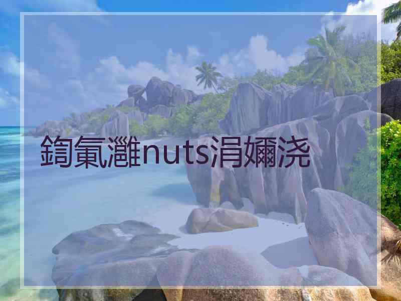 鍧氭灉nuts涓嬭浇