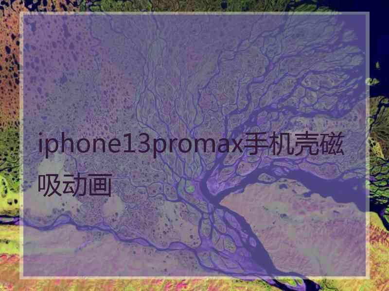 iphone13promax手机壳磁吸动画