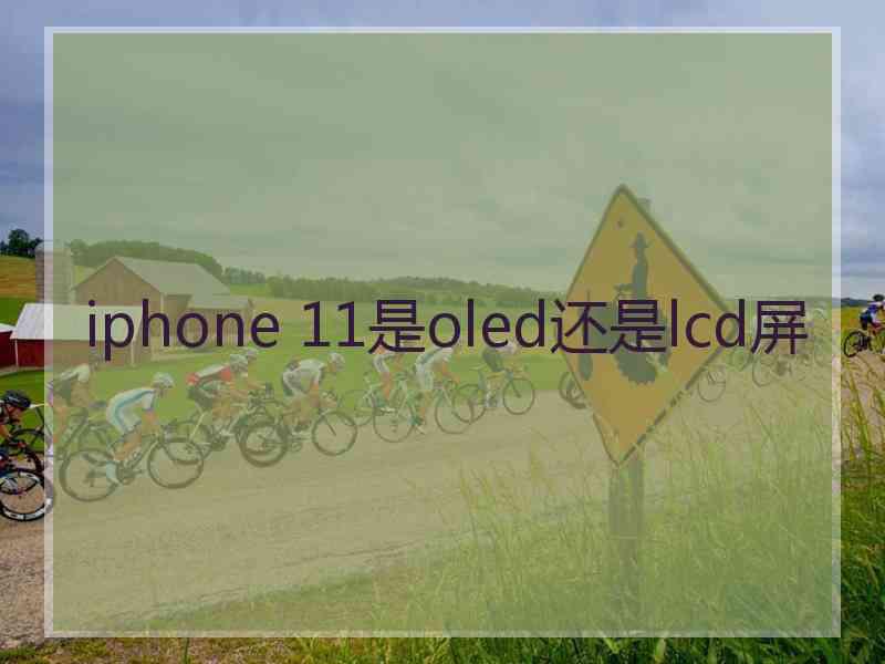 iphone 11是oled还是lcd屏