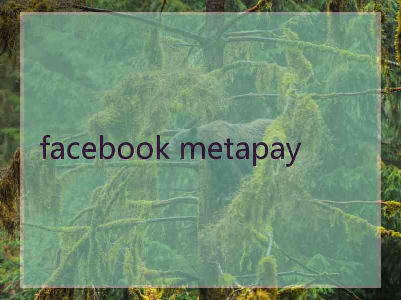 facebook metapay