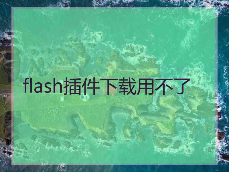 flash插件下载用不了