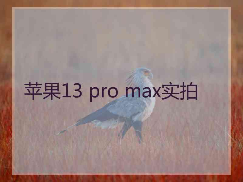 苹果13 pro max实拍