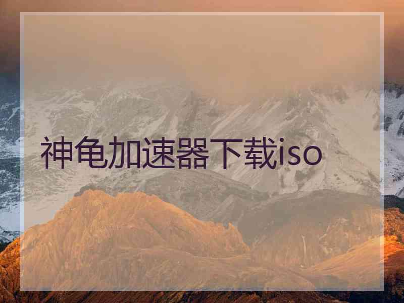 神龟加速器下载iso