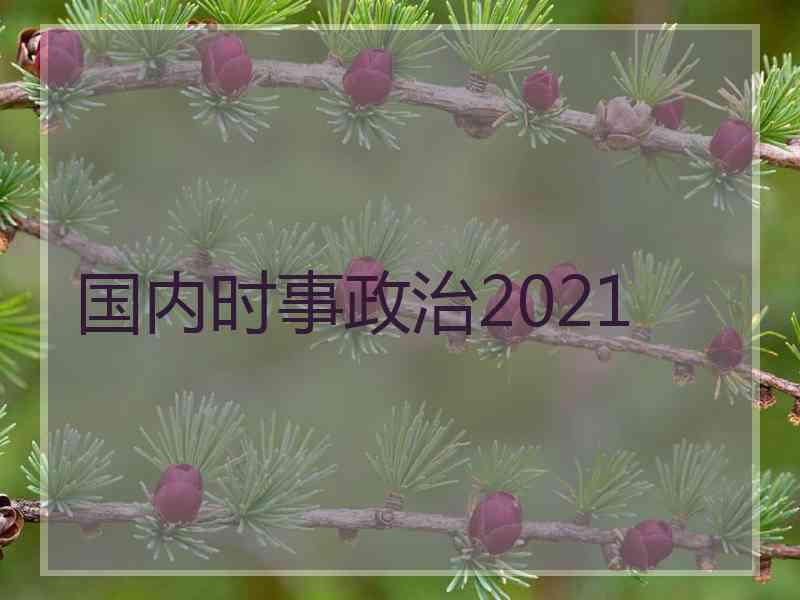 国内时事政治2021