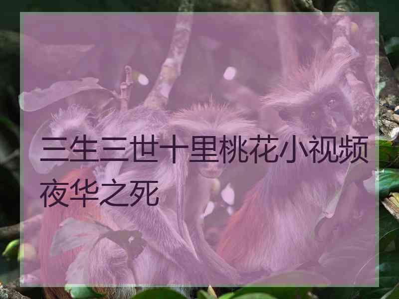 三生三世十里桃花小视频夜华之死