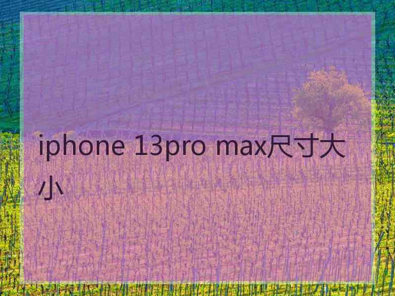 iphone 13pro max尺寸大小