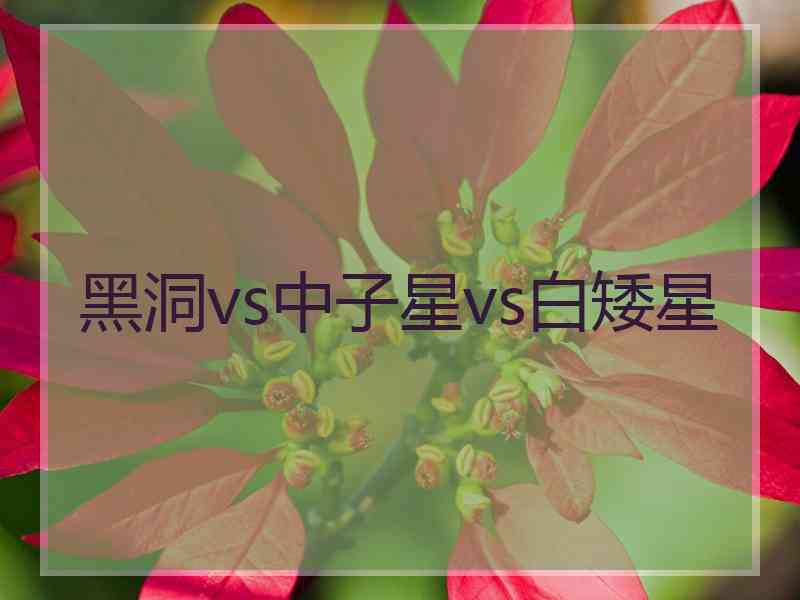 黑洞vs中子星vs白矮星